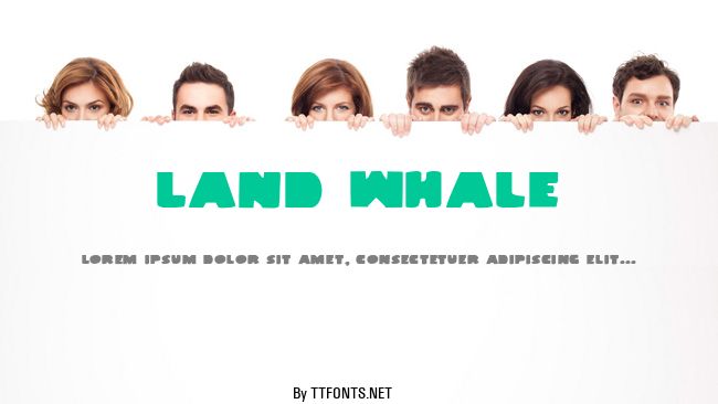 Land Whale example